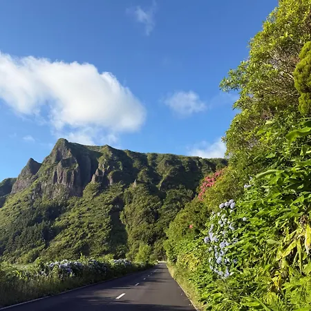 Estrelitzia Sea View 1 A 6 P Ferienhaus