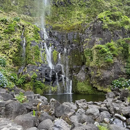 Ferienhaus Estrelitzia Sea View 1 A 6 P *