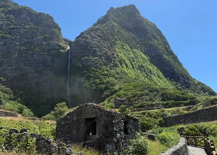 Estrelitzia Sea View 1 A 6 P *