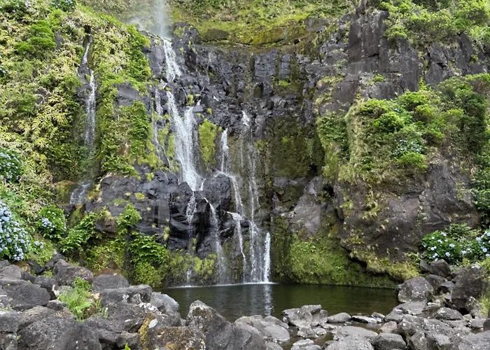 度假居 Estrelitzia Sea View 1 A 6 P *